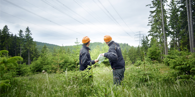 Two colleagues working in the field