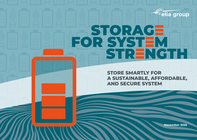 cover viewpoint Elia Group 2025 